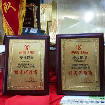 5G通信技術(shù)服務(wù)典范 定制金箔獎牌與榮譽牌匾，
