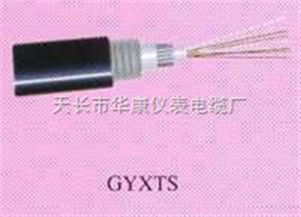 天長(zhǎng)市華康儀表電纜廠GYXTS光纜產(chǎn)品報(bào)價(jià)及采購(gòu)指南