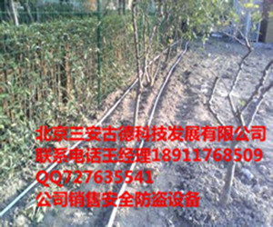 北京振動(dòng)光纖、石家莊泄漏電纜與山西工廠電子圍欄 現(xiàn)代安防技術(shù)的地域應(yīng)用與融合